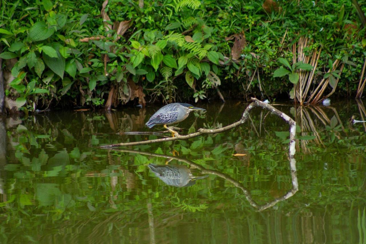 Eco Hotel Los Lagos Marsella  Zewnętrze zdjęcie